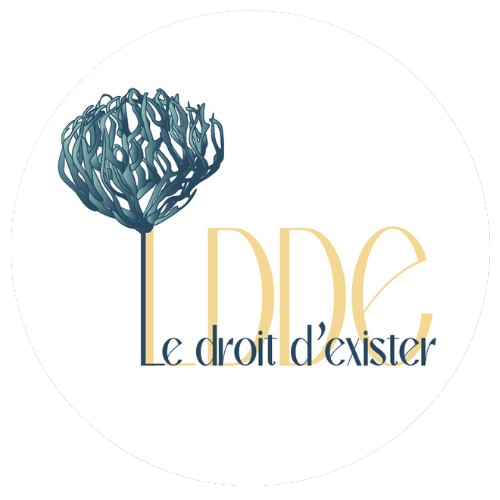 Logo fond transparent (anonyme) Anne-Claire - Autrice & comédienne